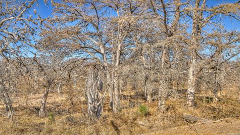 196 Canal Circle Rio Frio TX 78879