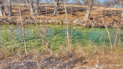 196 Canal Circle Rio Frio TX 78879