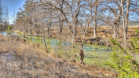 196 Canal Circle Rio Frio TX 78879