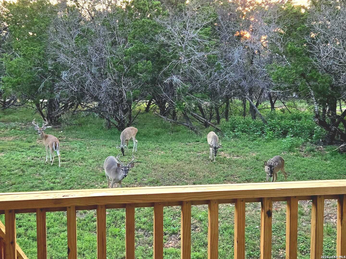 256 Nakomis Drive Bandera TX 78003