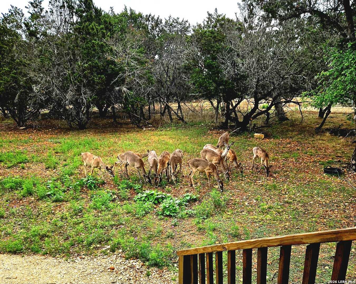 256 Nakomis Drive Bandera TX 78003