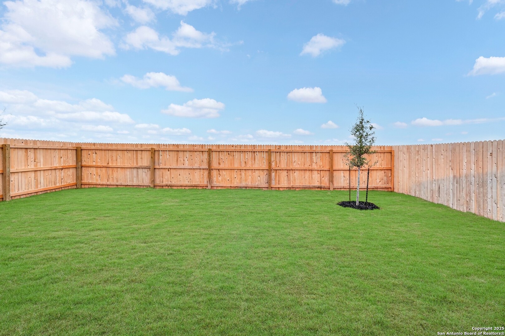 4293 Carlotta Drive New Braunfels TX 78130