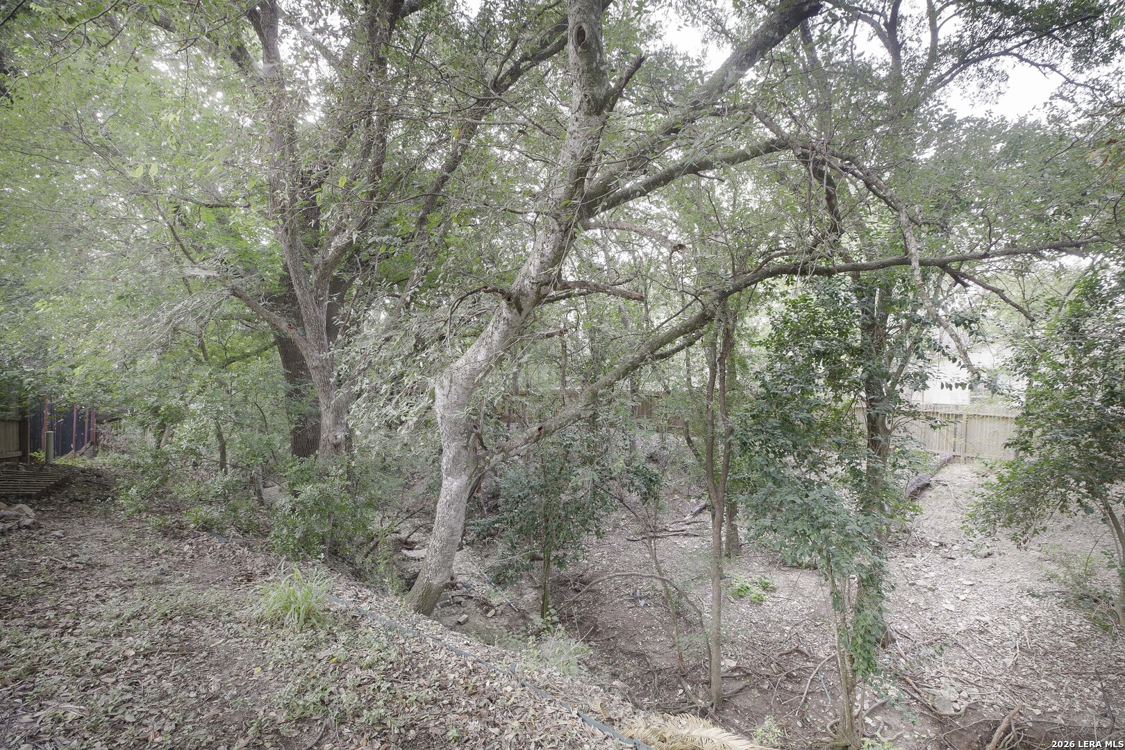 211 Forrest Trail Universal City TX 78148