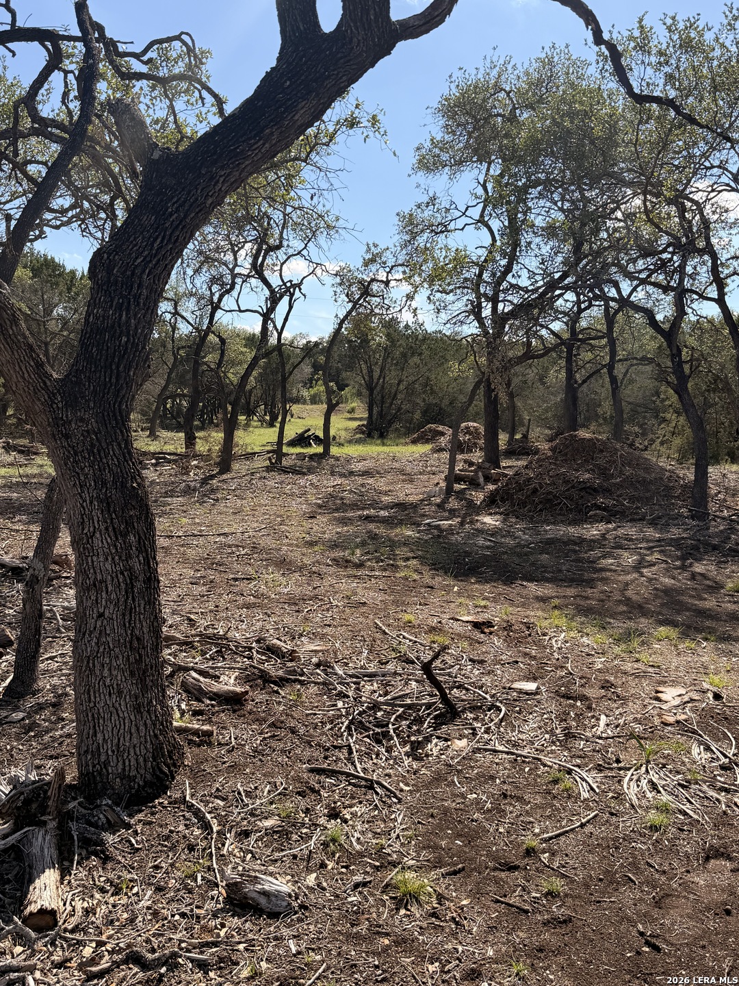 247 Restless Wind Spring Branch TX 78070