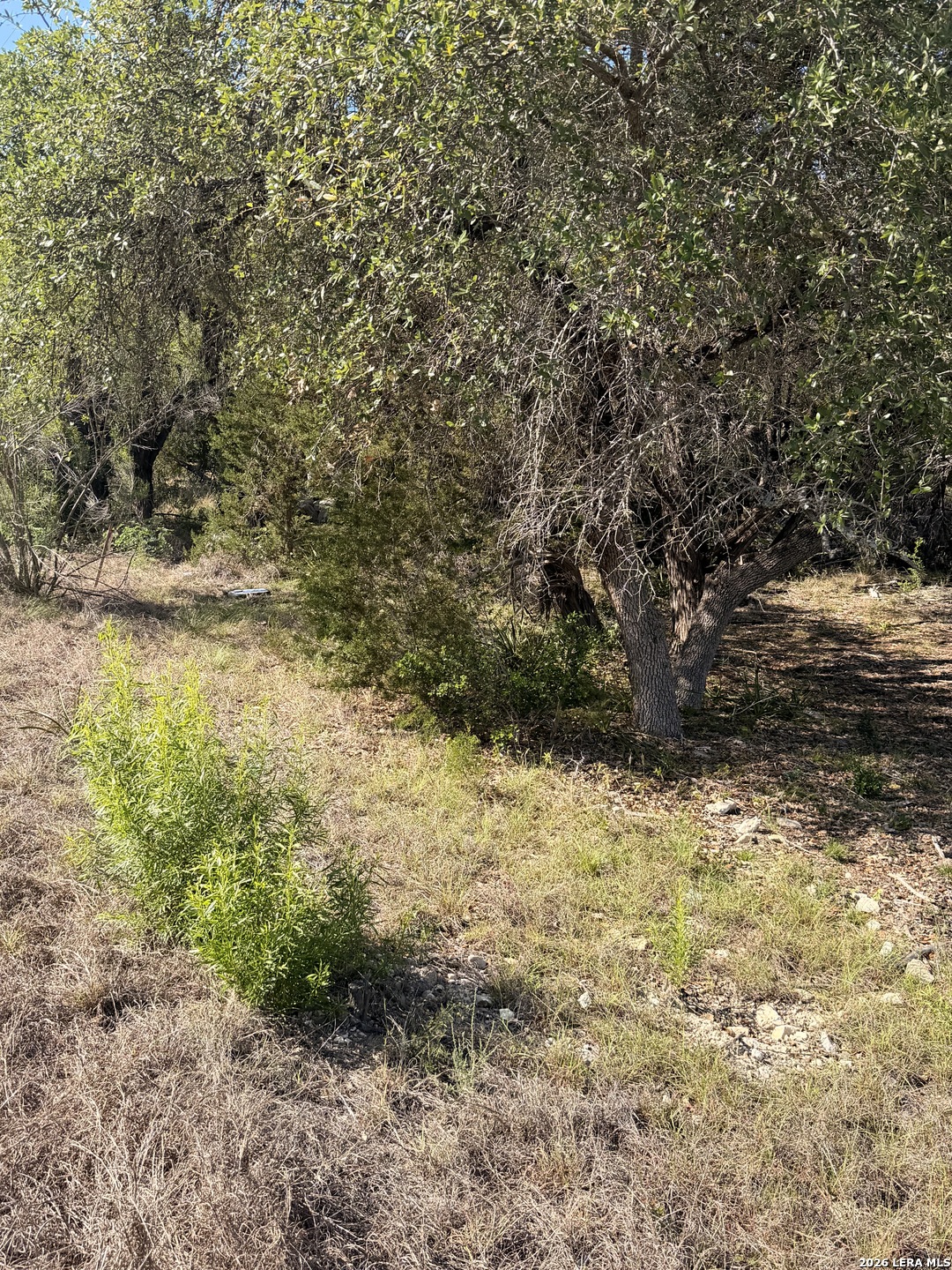 247 Restless Wind Spring Branch TX 78070