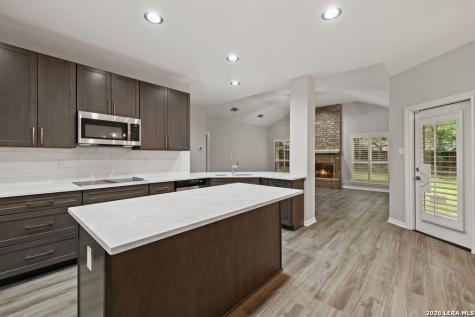 17314 Fountain Bluff Drive San Antonio TX 78248