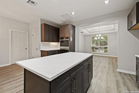 17314 Fountain Bluff Drive San Antonio TX 78248