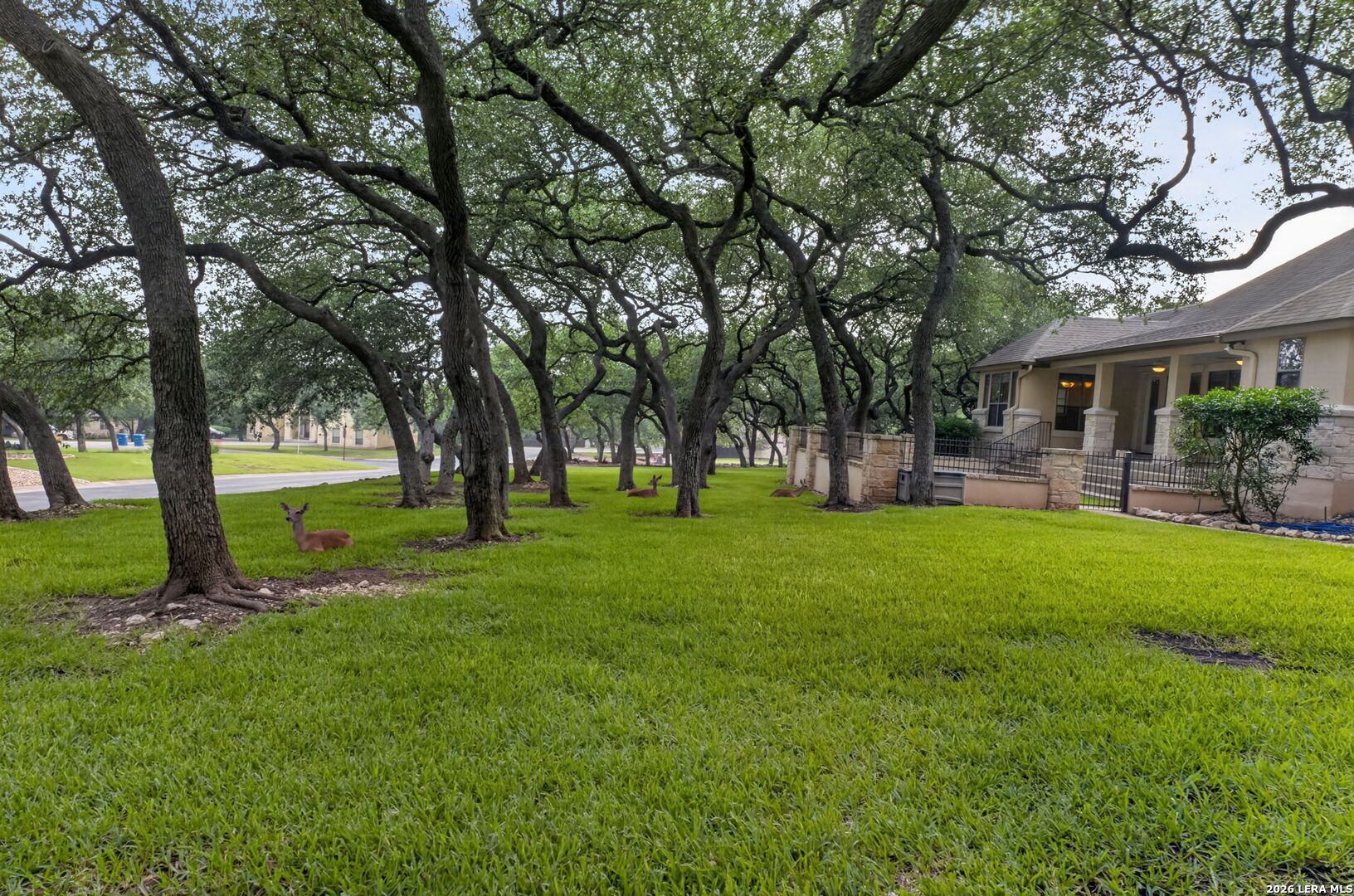 22025 Paseo Corto Drive San Antonio TX 78266