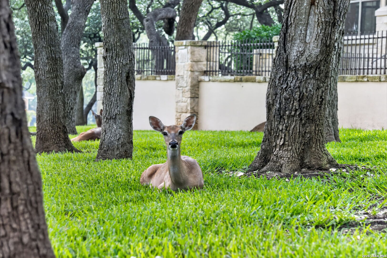 22025 Paseo Corto Drive San Antonio TX 78266