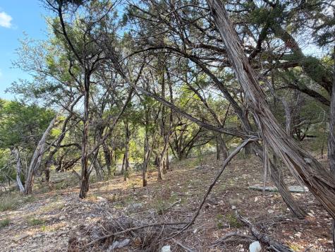 1362 Rockmoor Canyon Lake TX 78133