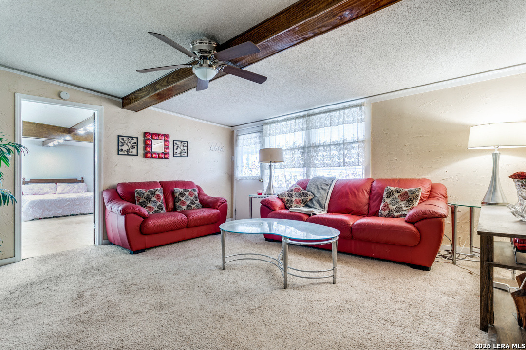 359 Kate Schenck San Antonio TX 78223