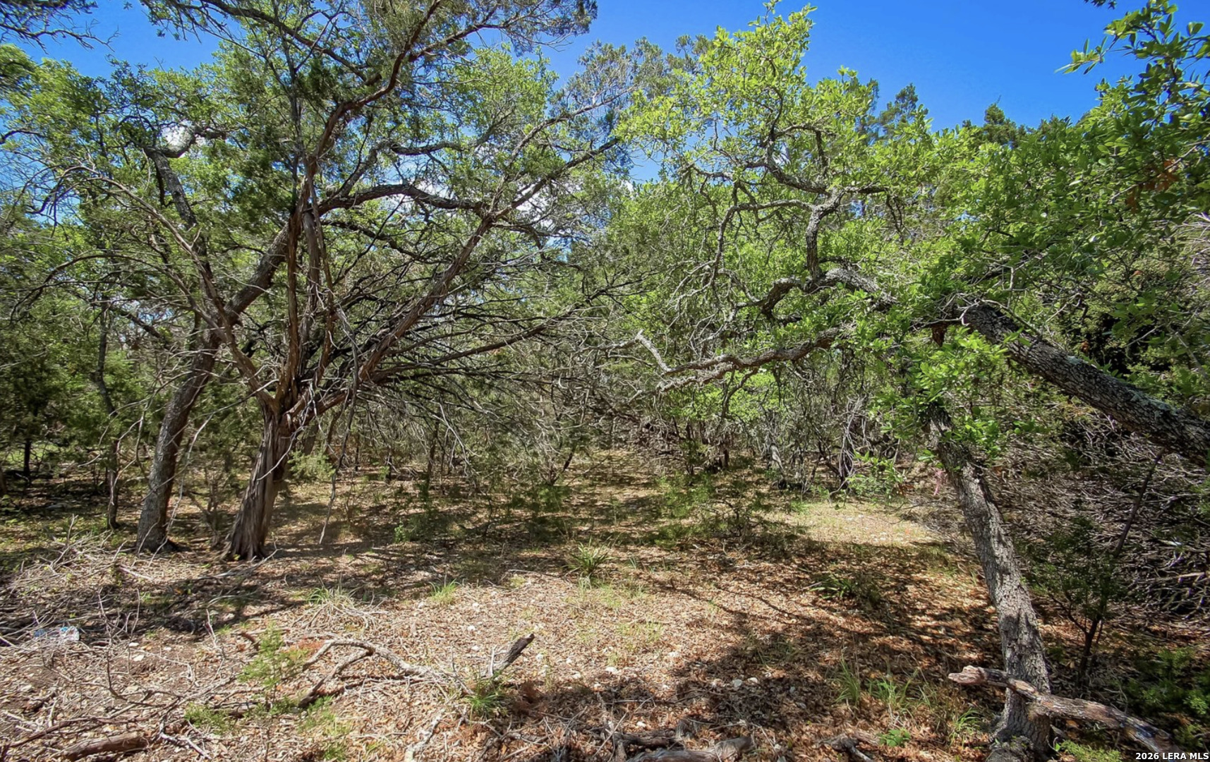 700 Firefly Canyon Lake TX 78133