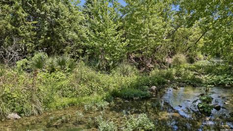 521 Rittimann Road Spring Branch TX 78070