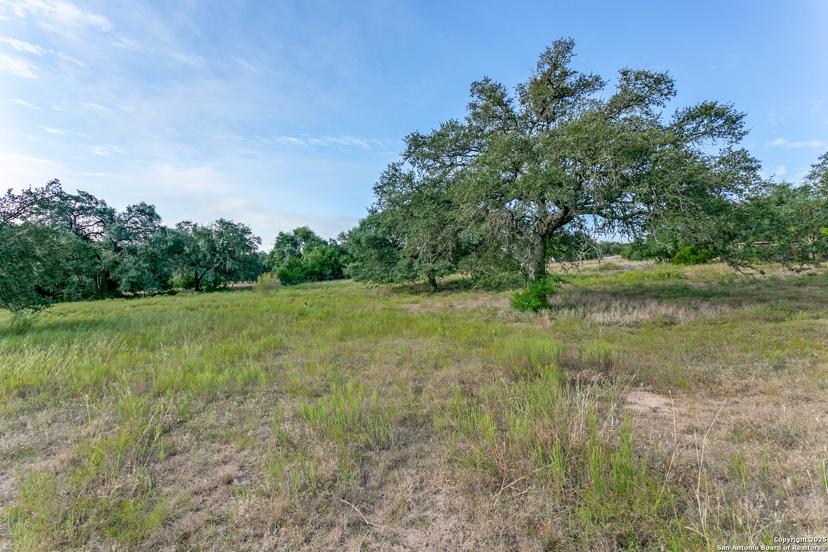 2790 Willow Bulverde TX 78163