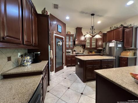21918 Pesa Cove Garden Ridge TX 78266