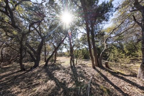 723 Vista Springs Drive Spring Branch TX 78070