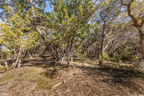 723 Vista Springs Drive Spring Branch TX 78070