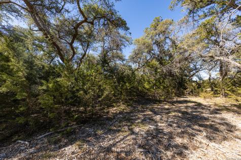 723 Vista Springs Drive Spring Branch TX 78070