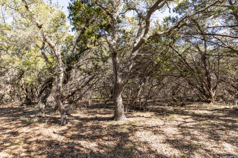 723 Vista Springs Drive Spring Branch TX 78070