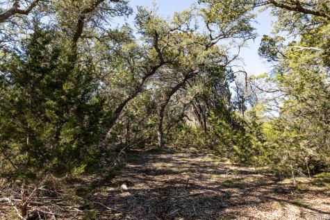 723 Vista Springs Drive Spring Branch TX 78070