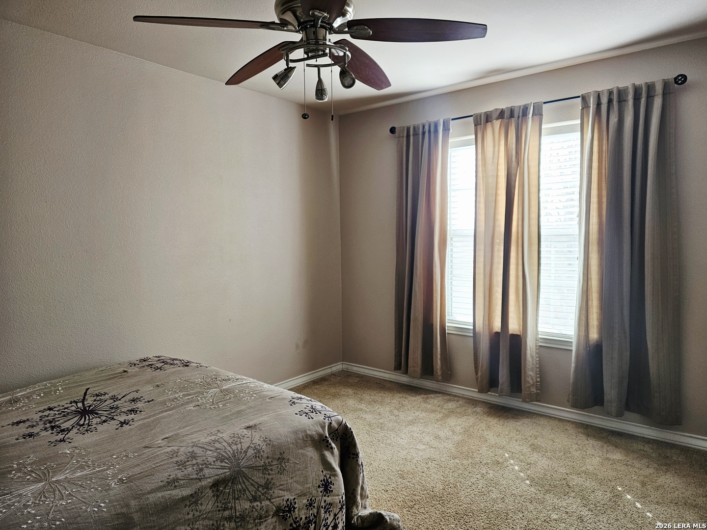 5615 Fm 462 Moore TX 78057