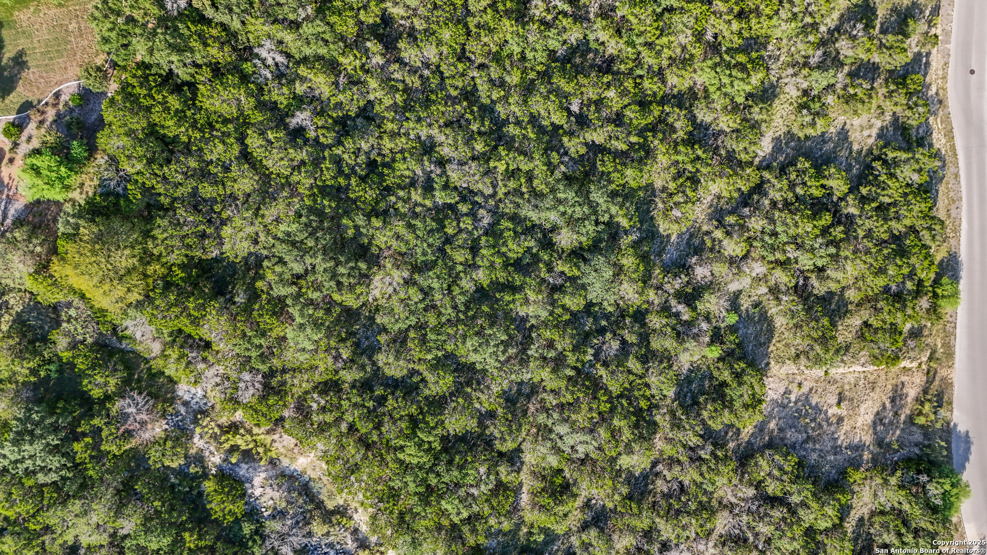 619 Winding Ravine San Antonio TX 78258