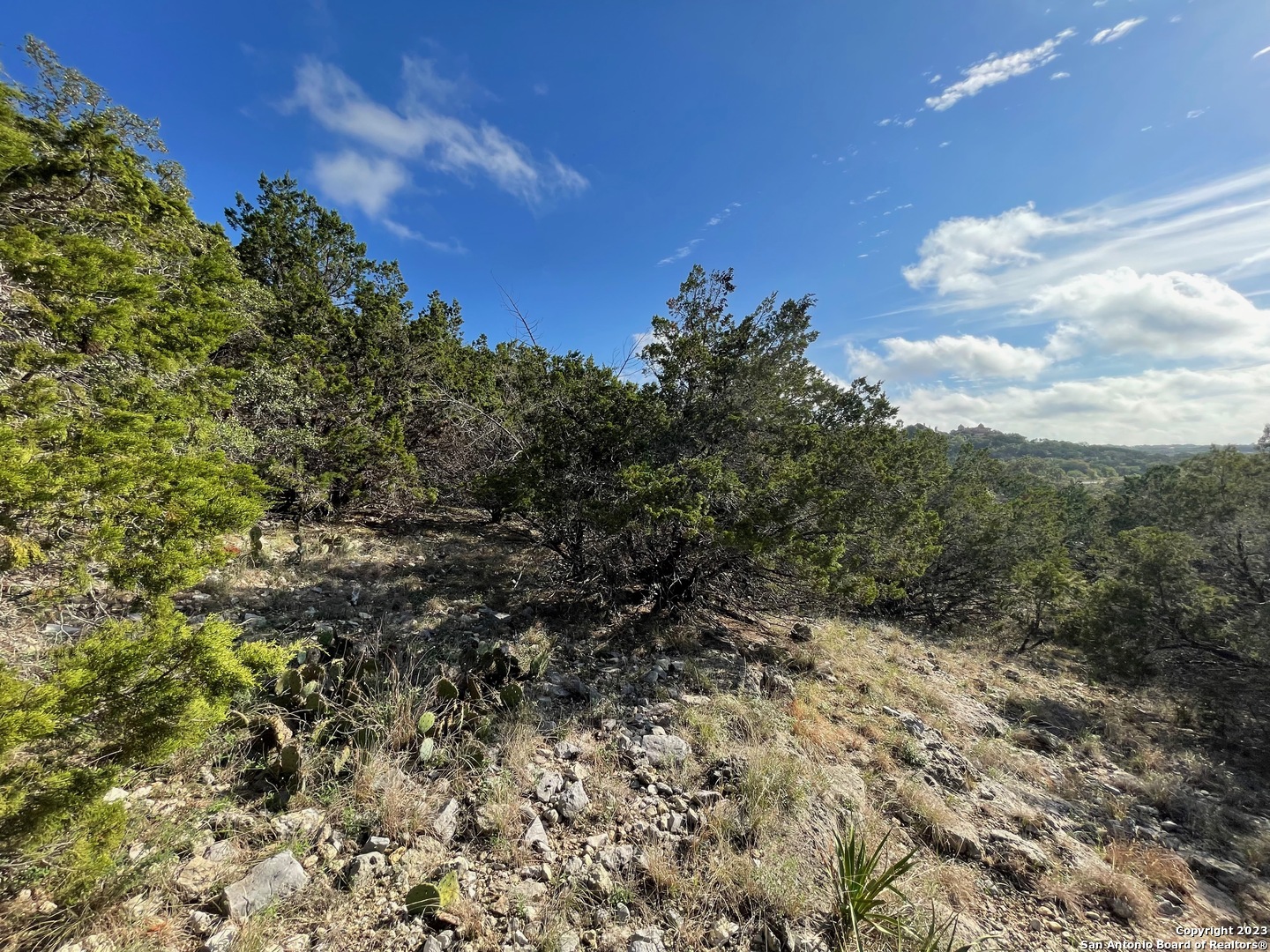 619 Winding Ravine San Antonio TX 78258
