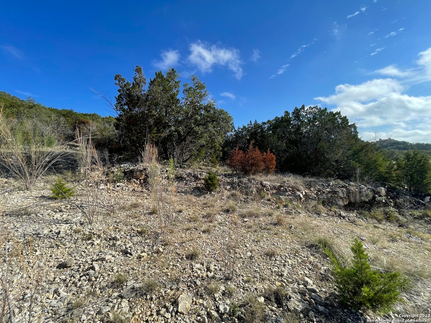 619 Winding Ravine San Antonio TX 78258