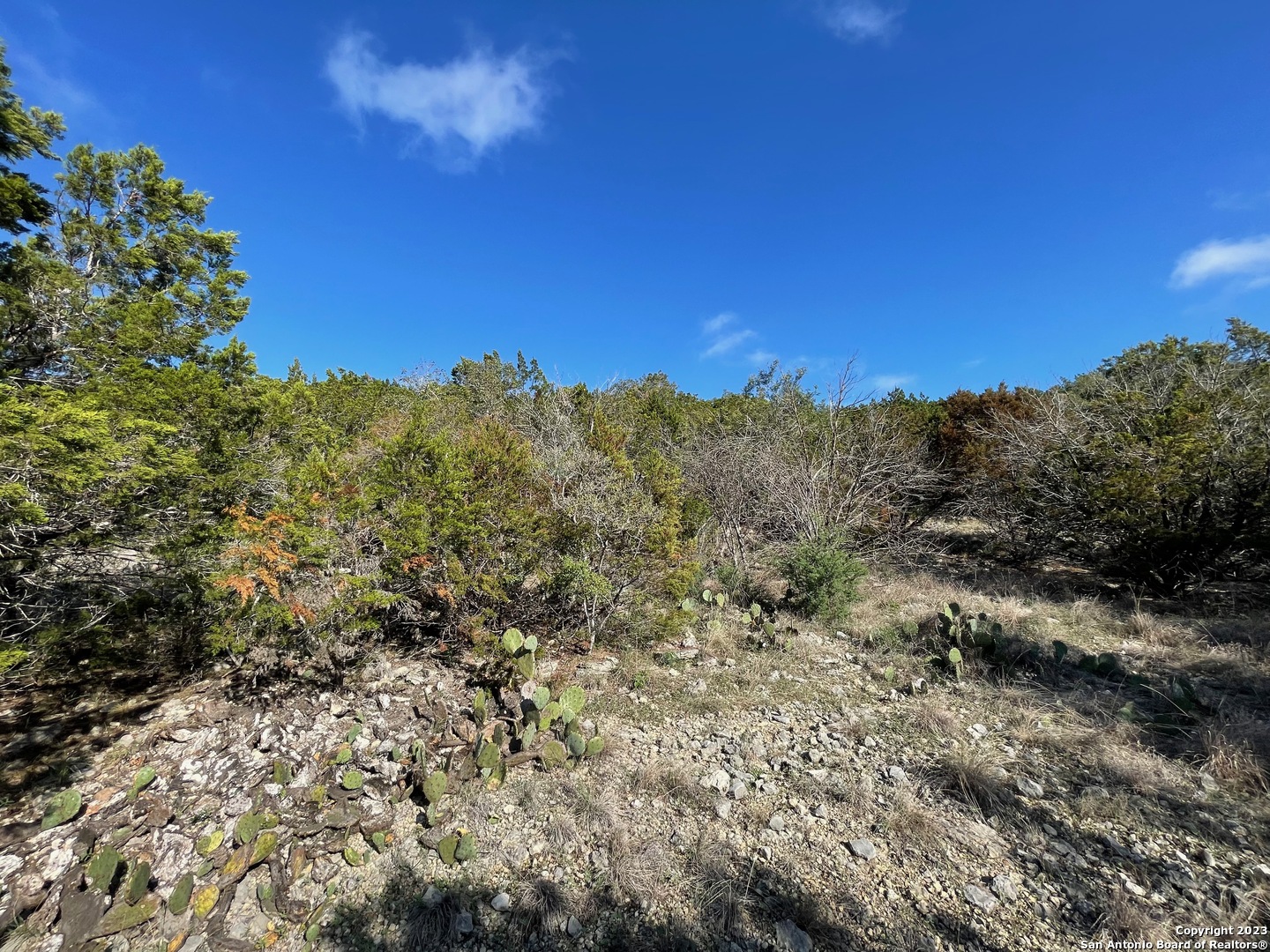 619 Winding Ravine San Antonio TX 78258