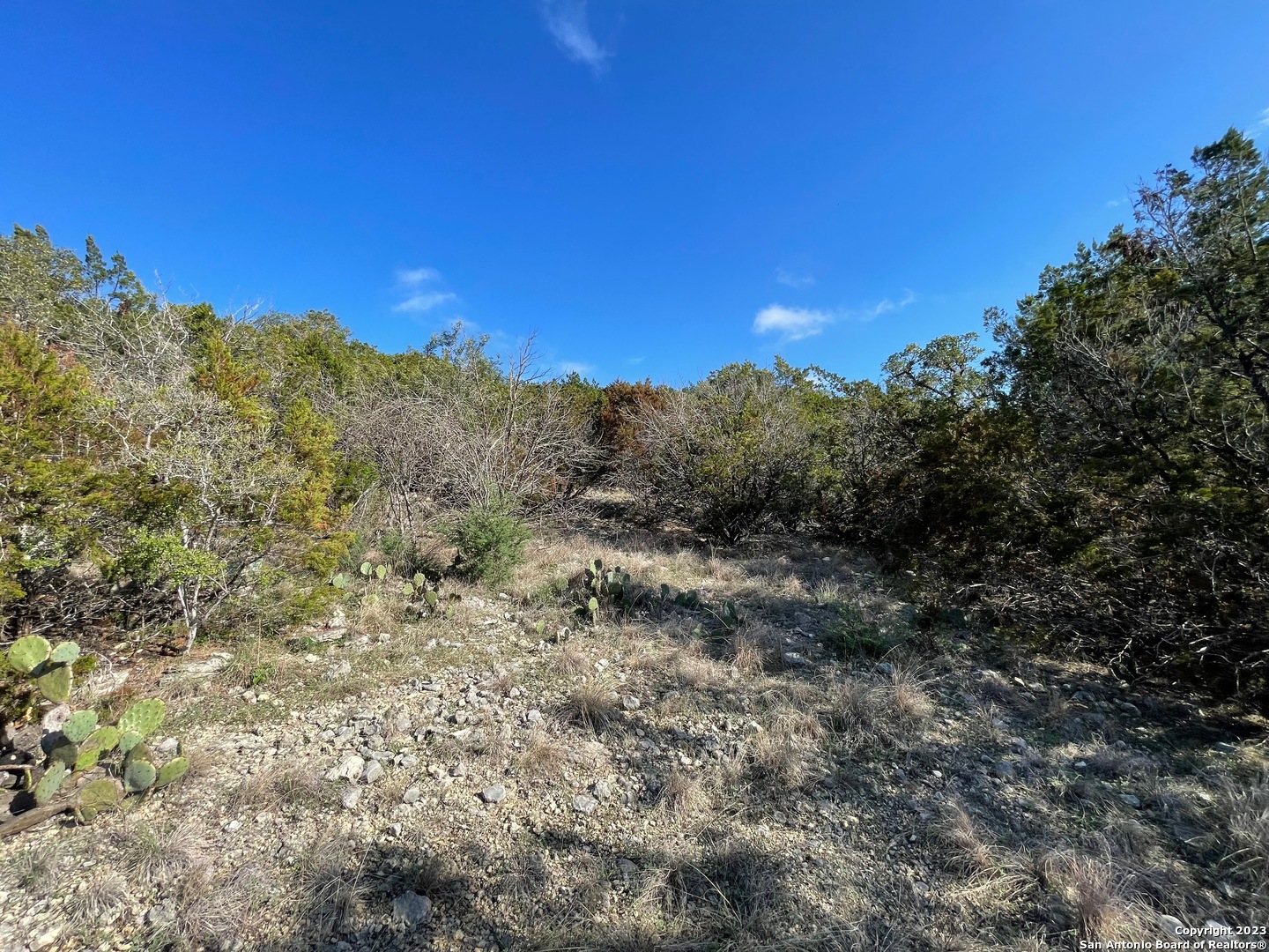 619 Winding Ravine San Antonio TX 78258