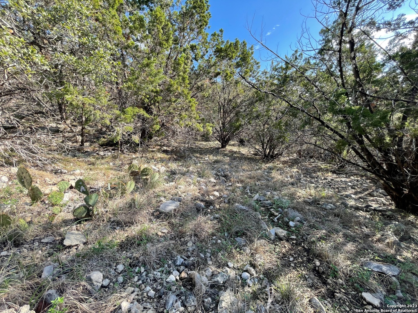 619 Winding Ravine San Antonio TX 78258
