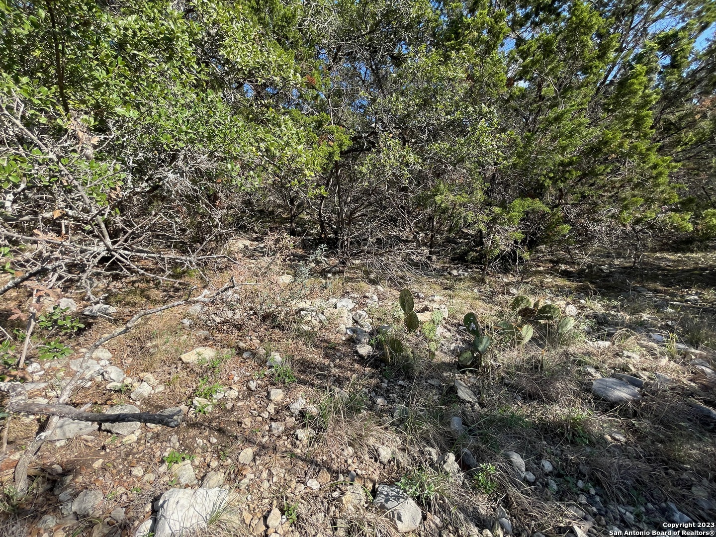 619 Winding Ravine San Antonio TX 78258