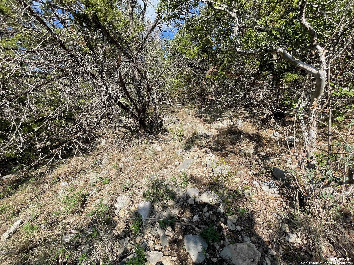 619 Winding Ravine San Antonio TX 78258