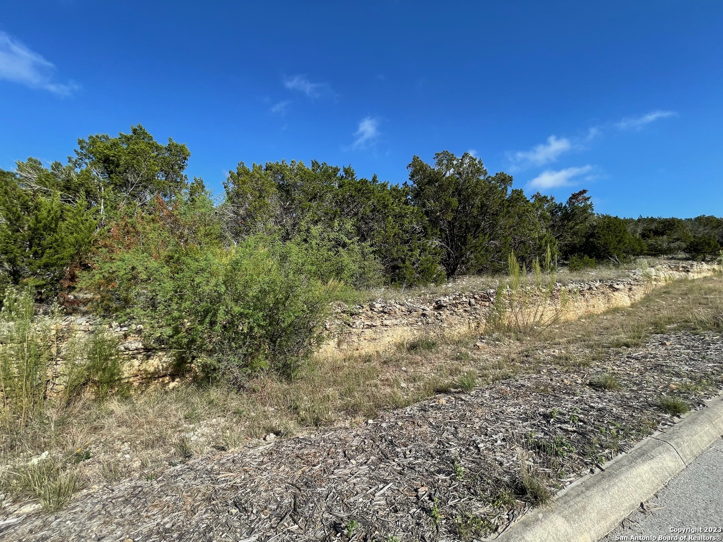 619 Winding Ravine San Antonio TX 78258