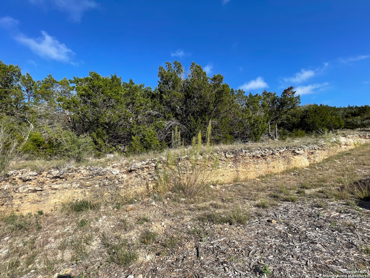 619 Winding Ravine San Antonio TX 78258