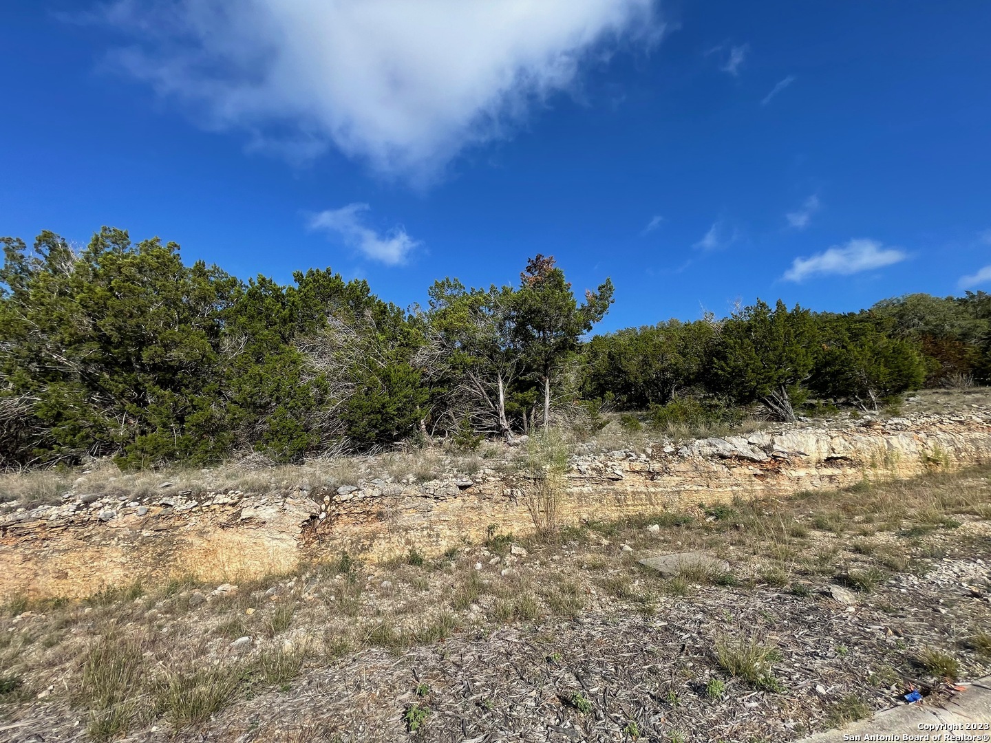 619 Winding Ravine San Antonio TX 78258