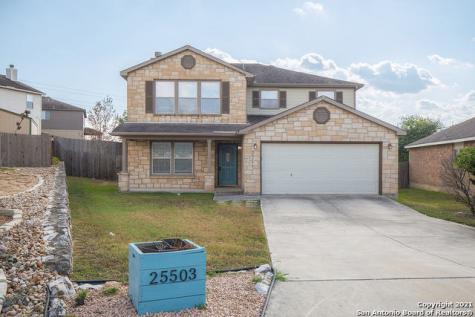 25503 Velvet Rose San Antonio TX 78260