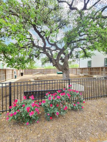 14839 Vance Jackson Road San Antonio TX 78249