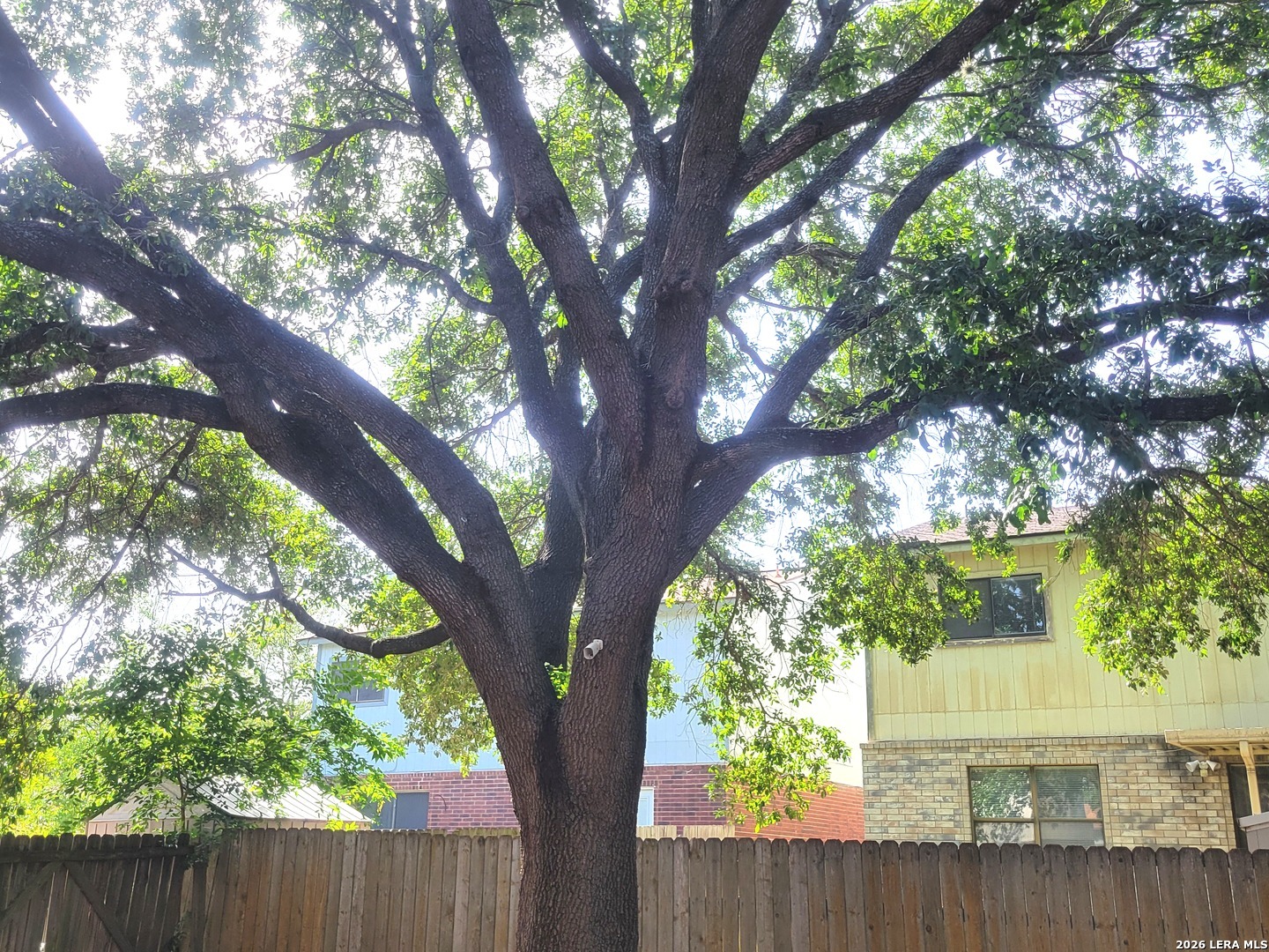 4607 Camas San Antonio TX 78247