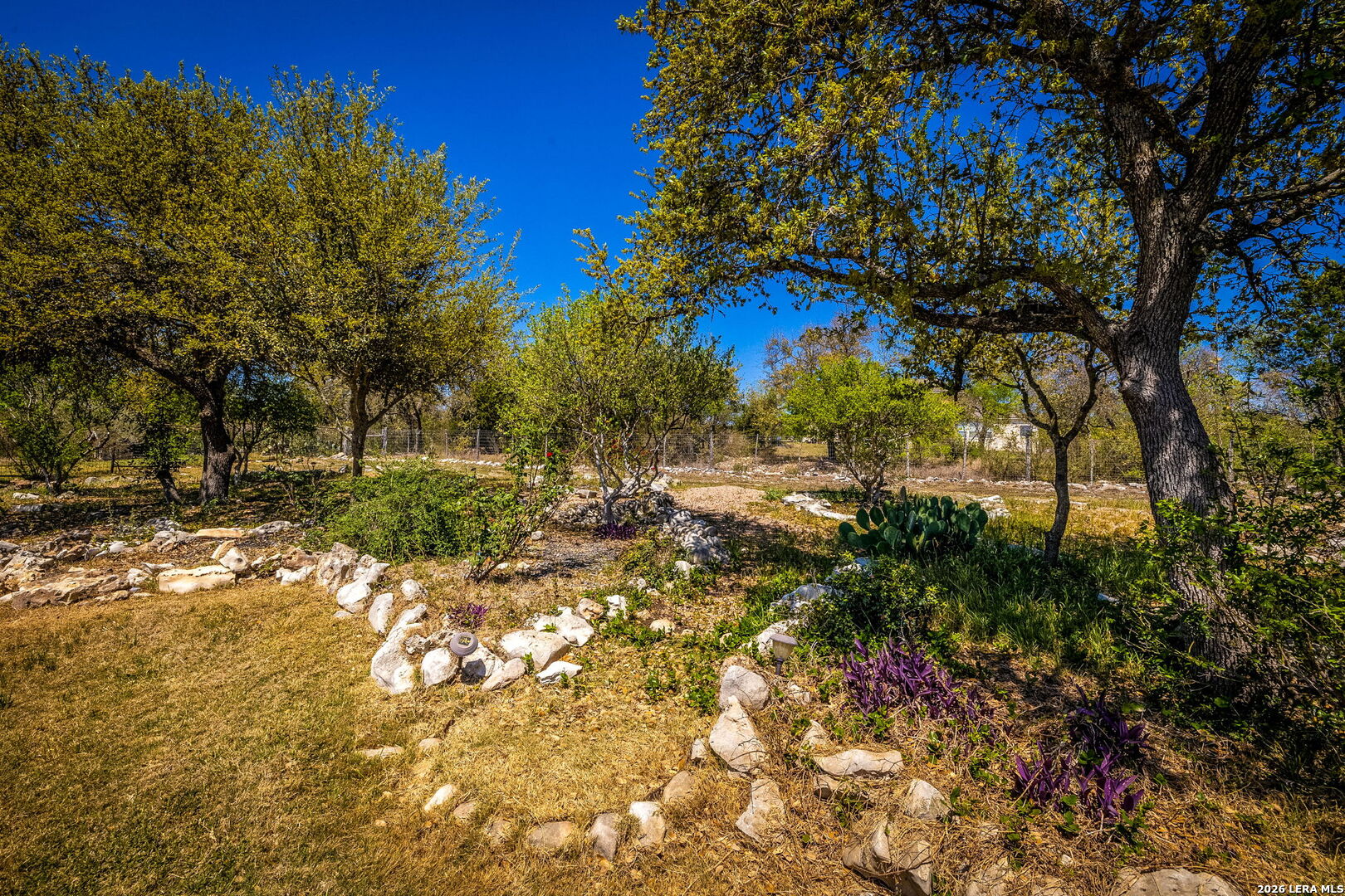 1208 Decanter Drive New Braunfels TX 78132