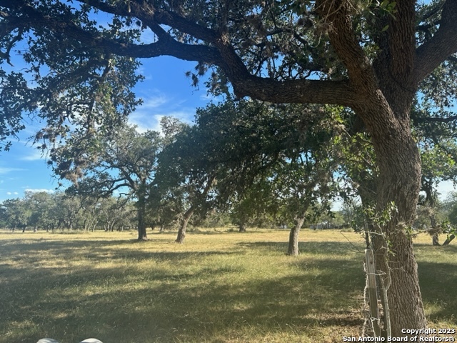 373 Pine Tree Medina TX 78055