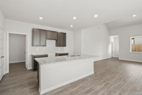 173 Hunters Camp San Antonio TX 78245