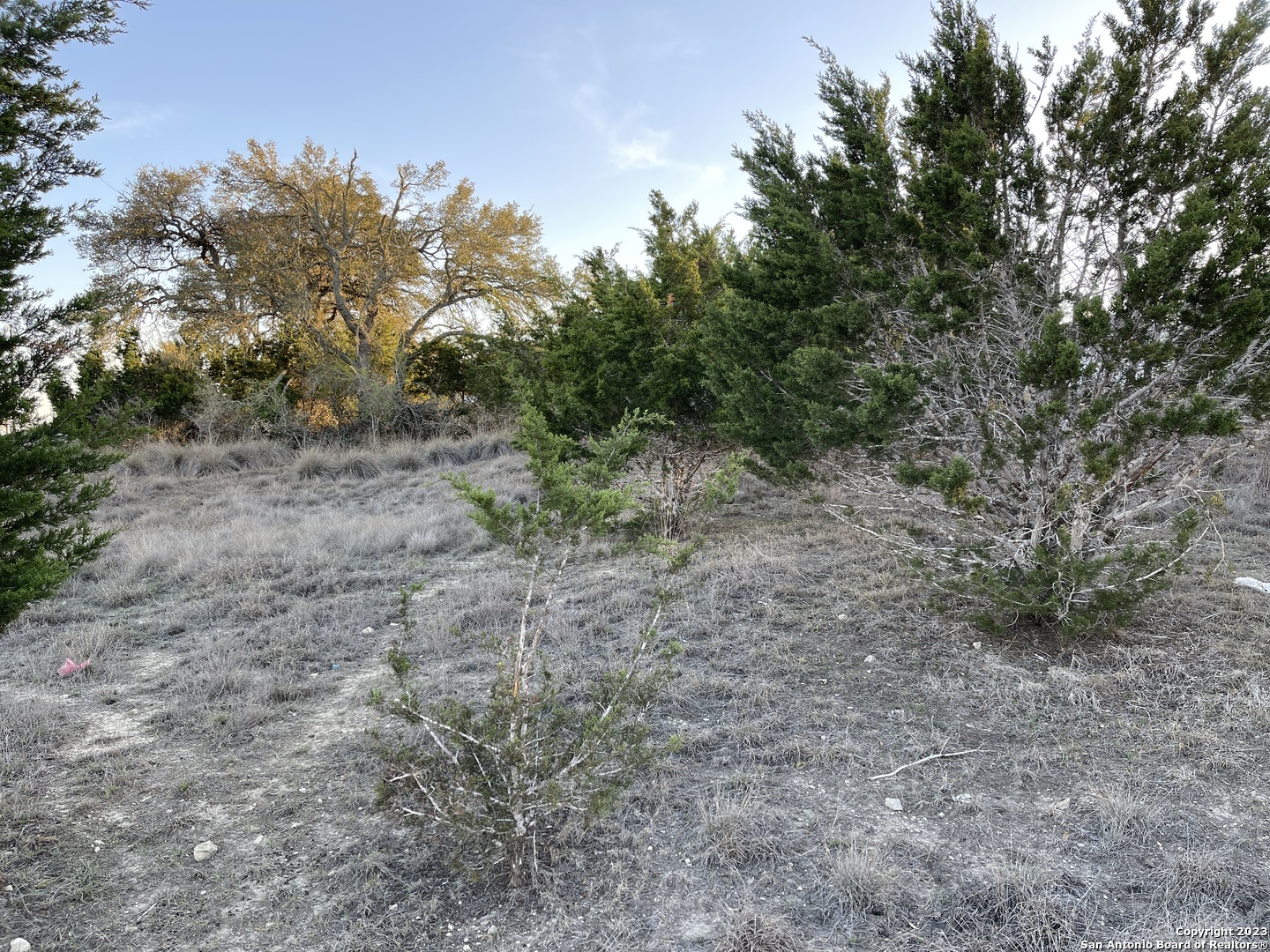 111 William Woods Blanco TX 78606