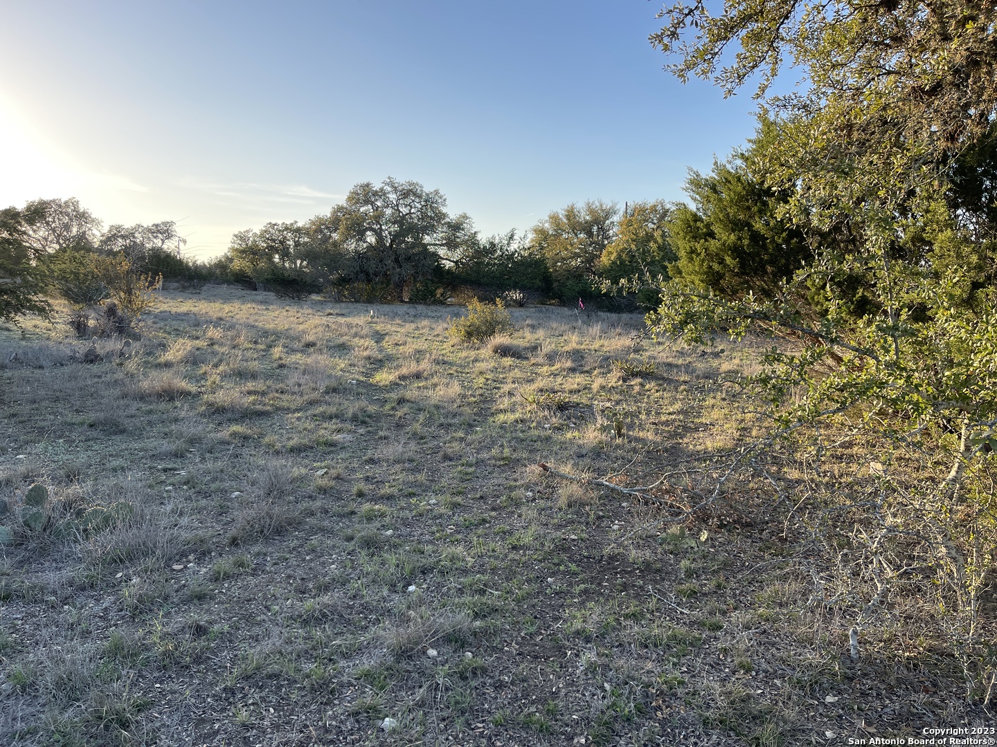 111 William Woods Blanco TX 78606