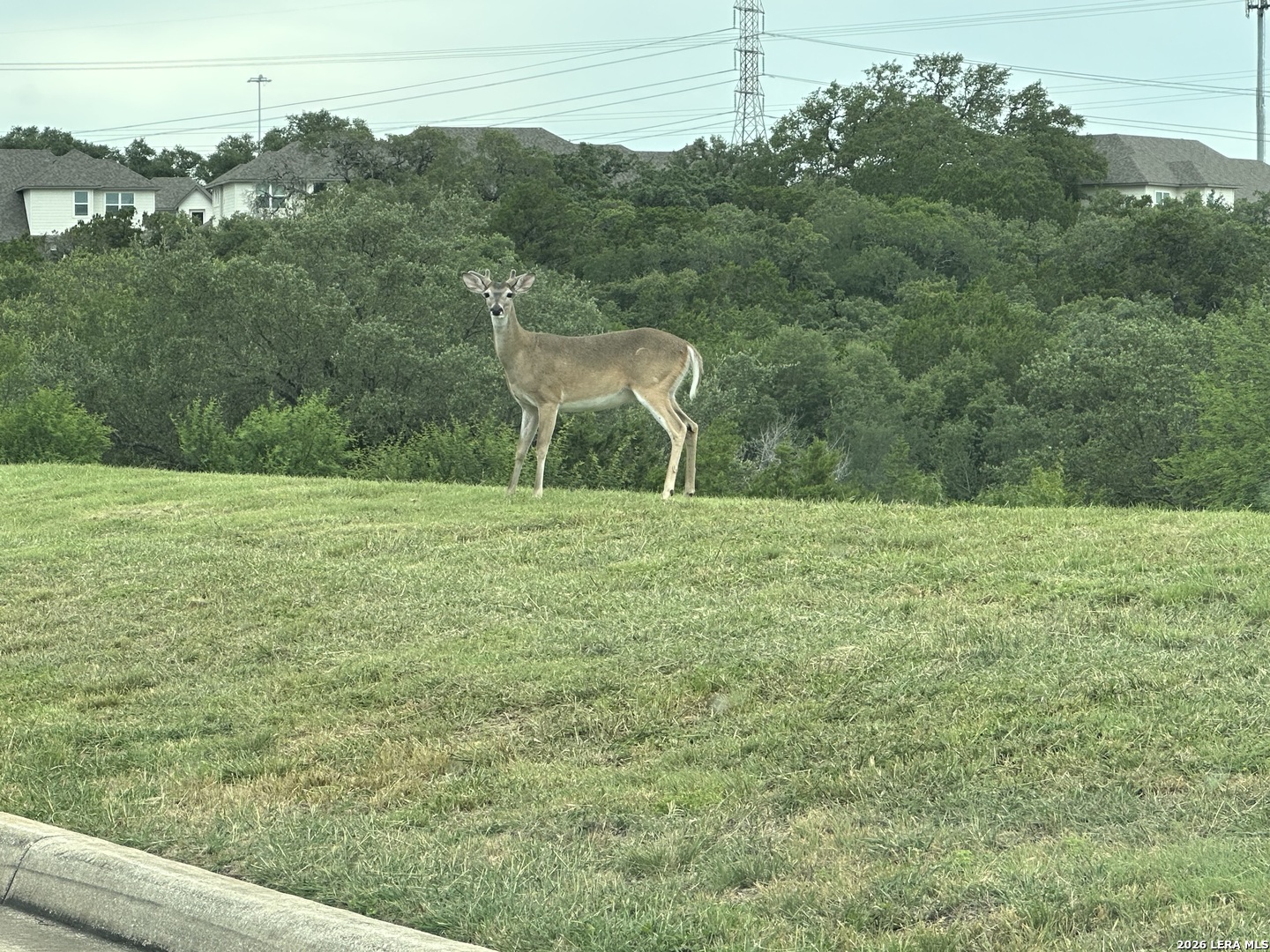 3950 River Falls San Antonio TX 78259