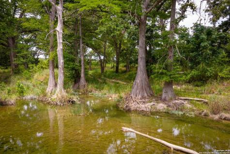 2170 Sierra Madre Canyon Lake TX 78133