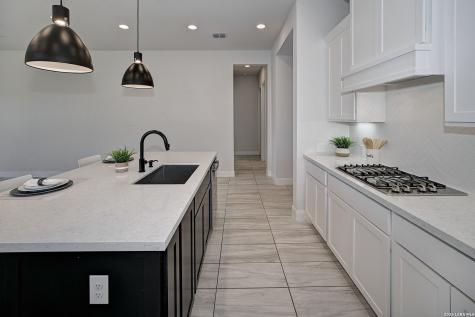 24118 Sidehill Lie San Antonio TX 78261