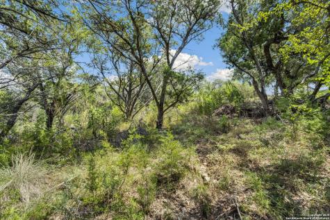 1484 Stahlman New Braunfels TX 78132