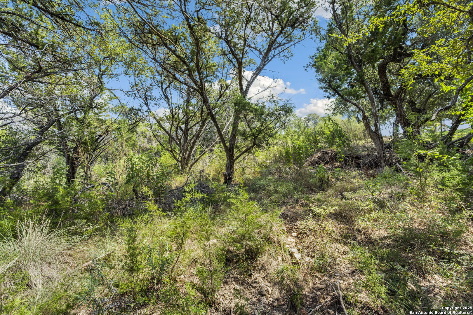 1484 Stahlman New Braunfels TX 78132