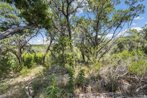 1484 Stahlman New Braunfels TX 78132